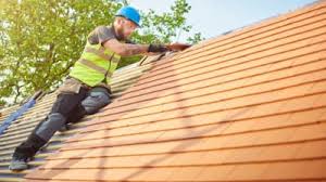 Best Skylight Installation and Repair  in Taft Heights, CA