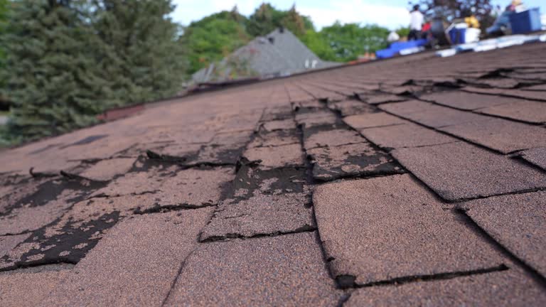  Taft Heights, CA Roofing Service Pros