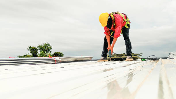 Best Roof Insulation Installation  in Taft Heights, CA