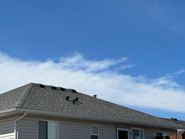Best Solar Panel Roofing Installation  in Taft Heights, CA